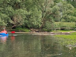 Phillippsbureg, 2 Tage Tour, Mai 2026